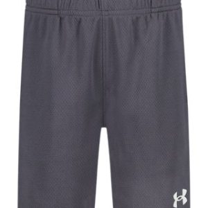 UA Tech™ Wordmark Toddler Boys' Shorts